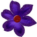 FLOWER4_bmuch_mikki