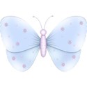 moo_bouquetoffriends_pearlbutterfly1