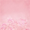 DS_SC_Paper Pink_Floral