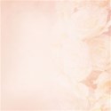 DS_SC_Paper_Rose_R