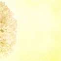 DS_SC_Paper1YFloral_L_soft