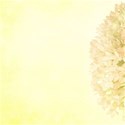 DS_SC_Paper1YFloral_R_soft
