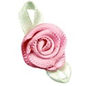 DS_SC_RibbonRosePSOFT
