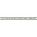 MLIVA_B2S-quote1
