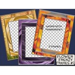 Flower Frenzy Frames