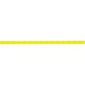 cc-DSDITuttiFruity-Ribbon02