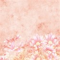 DS_SC_Paper Pink_Artl M2