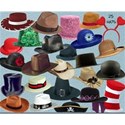 Hats For Fun 