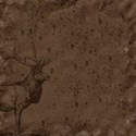 elk paper