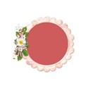 DS_SC_ScallopFrameCluster
