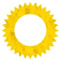 frame4