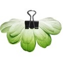 Clipped Flower