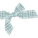 bos_ct_bow02