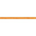 bos_ct_ribbon03