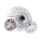 fireworks 4