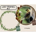 Just Frames #3 