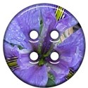 jThompson_iris_button1