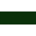 dark green rectangle 1
