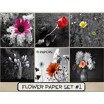 Flowers Paper Set #1 Flowers Paper Set #1
