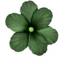 LHank_AutumnRise_flower2