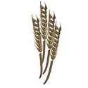 mts_wheat_001