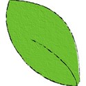 LEAF2color_mikkilivanos