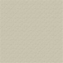 background5