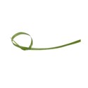 Grass Blade