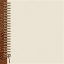 Laced Border Papers #1- 01