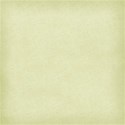 MLIVA_SOLID1-ltgreen