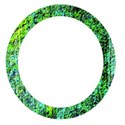 blue green circle border