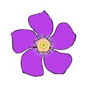 my_flower