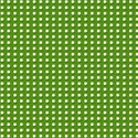 white_flower_in_green