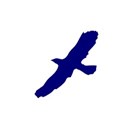 bird10