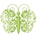 butterfly 2