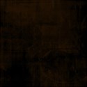lisaminor_campnono_paperc