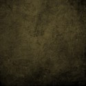 lisaminor_campnono_paperd