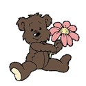 bear
