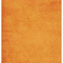 pamperedprincess_kookyspooky_paper3 copy
