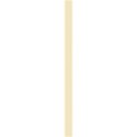 ribbon 6