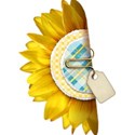 SUNFLOWERclip_mikkilivanos