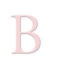 bb