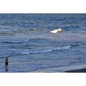 Boys sizes up the waves-1