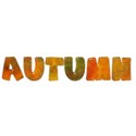 BOS SH autumn wordart