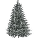 bos_cw_tree01