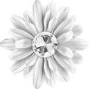 bos_cw_flower02