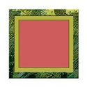 green frame 6x6  