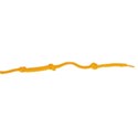 Shoelace Orange