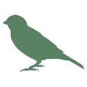 bird4