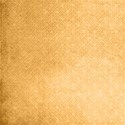 neutral paper 2